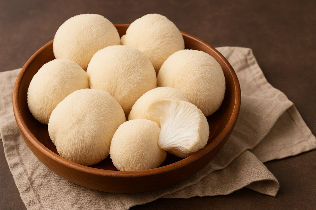 Lion's Mane Active Compounds: The Science Behind the Benefits
